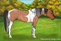 Horse Color:Bay Roan Tobiano