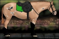 Horse Color:White Spotted Gold Champagne Tobiano 