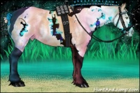 Horse Color:White Spotted Gold Champagne Tobiano 
