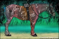 Horse Color:White Spotted Liver Chestnut 