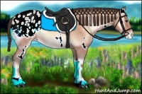 Horse Color:White Spotted Amber Champagne Onyx Appaloosa