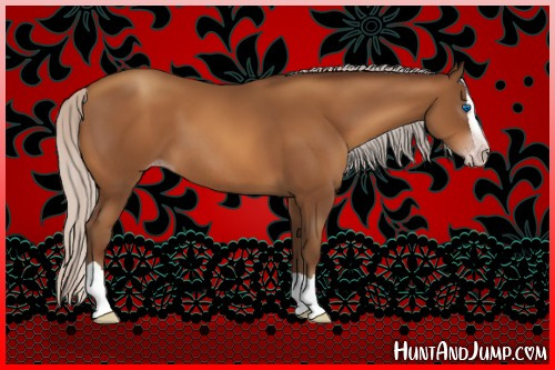 Horse Color:Gray Silver Sable Champagne Splash 