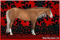 Horse Color:Gray Silver Sable Champagne Splash 