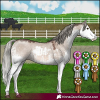 Horse Color:Liver Red Dun Mushroom Sabino Splash  and Liver Red Dun Mushroom Sabino Splash 