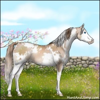 Horse Color:White Spotted Liver Chestnut Pearl Splash 
