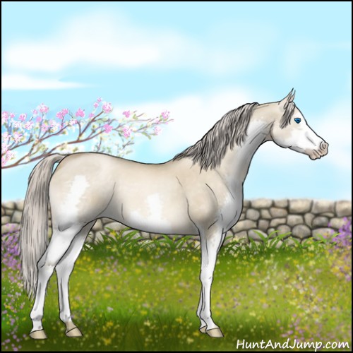 Horse Color:Chocolate Palomino Pearl Dun Splash 