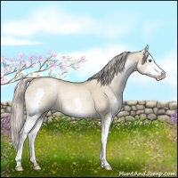 Horse Color:Chocolate Palomino Pearl Dun Splash