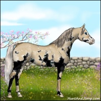 Horse Color:White Spotted Chocolate Palomino Dun Splash