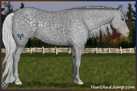 Horse Color:Silver Classic Champagne Chinchilla 