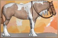 Horse Color:Red Roan Tobiano 