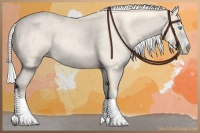 Horse Color:Silver Perlino Roan Splash 