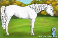 Horse Color:Cremello Blanket