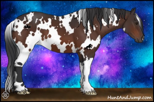 Horse Color:White Spotted Brown 