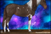 Horse Color:White Spotted Liver Chestnut Tobiano 