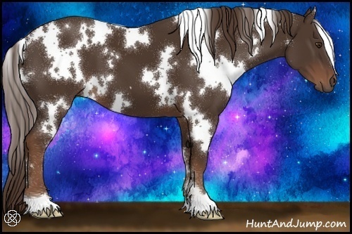 Horse Color:White Spotted Liver Chestnut 
