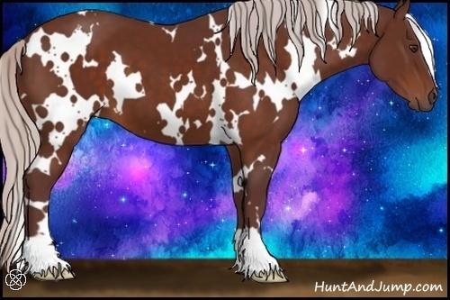 Horse Color:White Spotted Chocolate Silver Brown