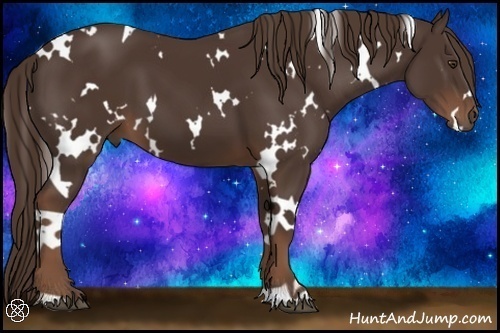 Horse Color:White Spotted Liver Chestnut 
