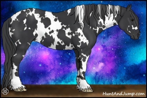 Horse Color:White Spotted Black 