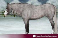 Horse Color:Silver Brown Roan Sabino 