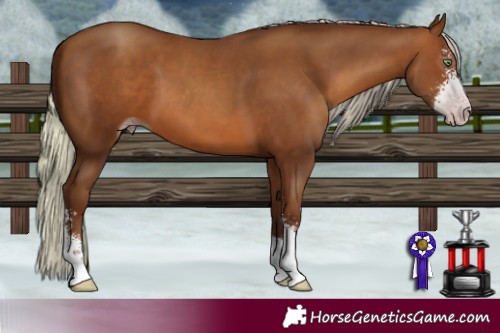 Horse Color:Gray Silver Sable Champagne Sabino 