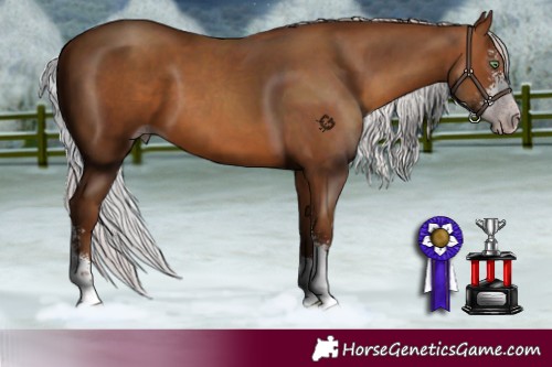 Horse Color:Gray Silver Sable Champagne Sabino 