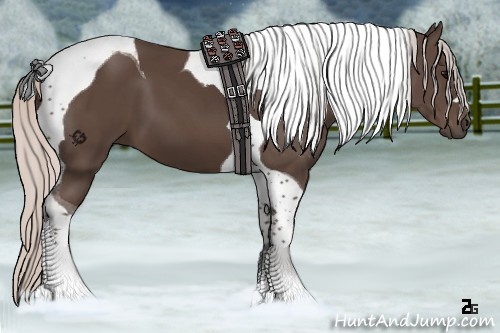 Horse Color:Silver Black Tobiano 