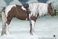 Horse Color:Silver Black Tobiano