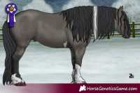 Horse Color:Grullo Tobiano