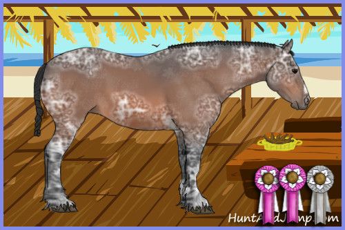 Horse Color:Bay Ice Sabino 