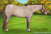 Horse Color:Blue Roan Pearl 