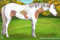 Horse Color:Nacre Chestnut Splash Tobiano