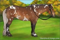 Horse Color:White Spotted Silver Buckskin Rabicano