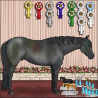 Horse Color:Black 