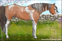 Horse Color:Bay Splash Tobiano Varnish  and Bay Splash Tobiano Varnish 