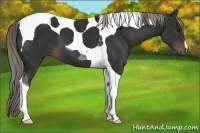 Horse Color:Liver Chestnut Mushroom Tobiano 