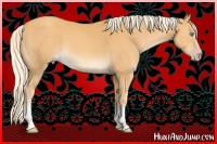 Horse Color:White Spotted Gold Cream Champagne 