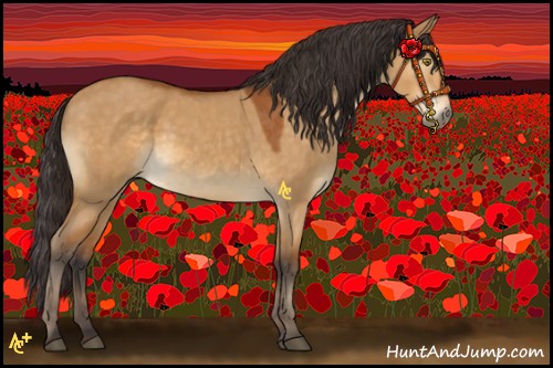Horse Color:Buckskin Dun Rabicano