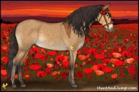 Horse Color:Buckskin Dun Rabicano