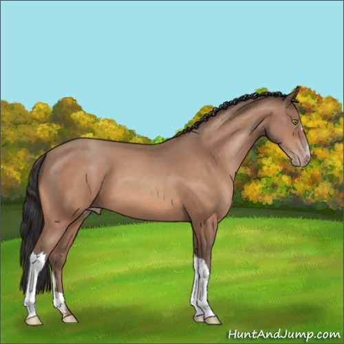 Horse Color:Sable Champagne 