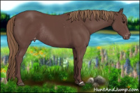 Horse Color:Chocolate Smoky Black Varnish Rabicano