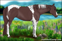 Horse Color:Chocolate Black Tobiano 