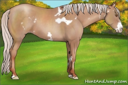 Horse Color:White Spotted Silver Classic Champagne Frame 