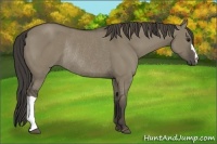 Horse Color:Smoky Grullo Rabicano 