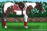 Horse Color:Brown Tobiano Varnish 