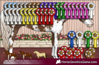 Horse Color:White Spotted Chocolate Palomino Sabino