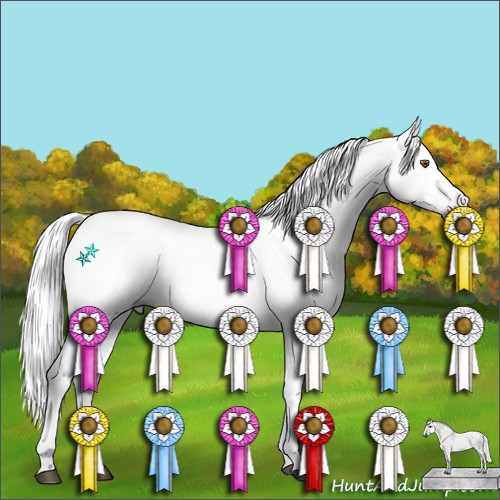 Horse Color:Gray Black Pearl Snowcap 