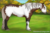 Horse Color:Gray Silver Bay Frame 