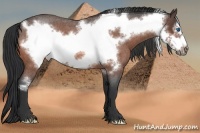 Horse Color:Bay Roan Frame 