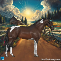 Horse Color:Brown Tobiano 