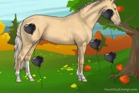 Horse Color:Gold Cream Champagne 